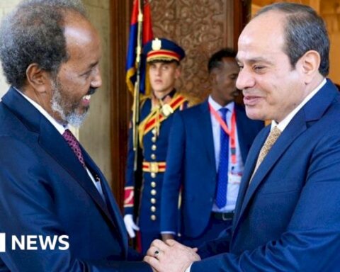 why-ethiopia-is-so-alarmed-by-an-egypt-somalia-alliance