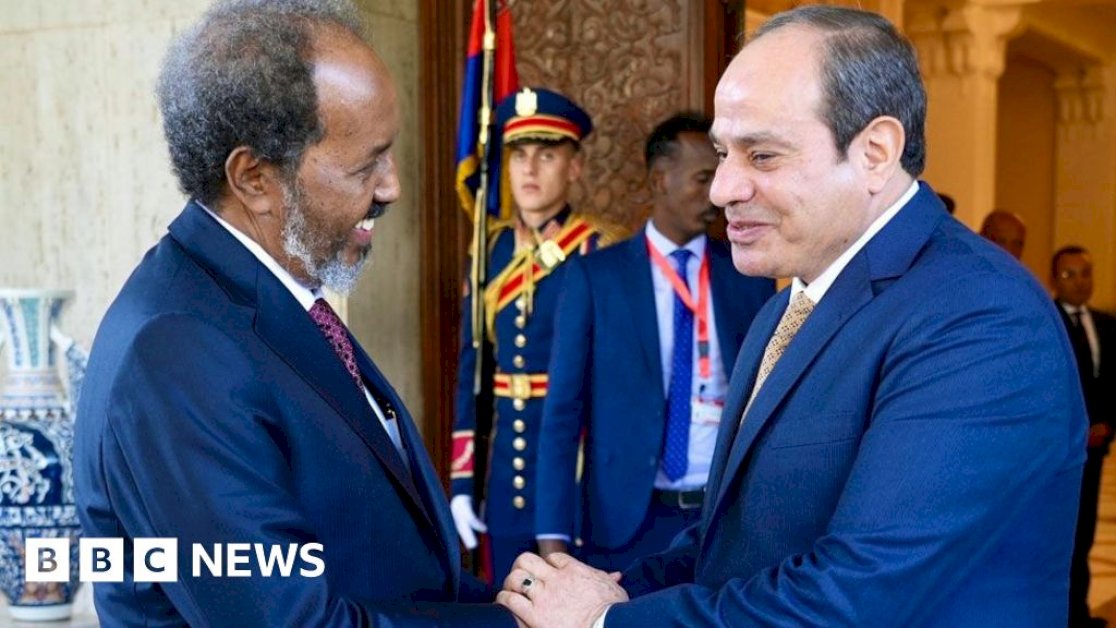 why-ethiopia-is-so-alarmed-by-an-egypt-somalia-alliance