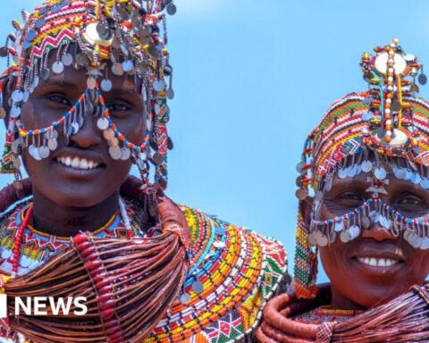 africa’s-week-in-pictures:-23-29-august-2024