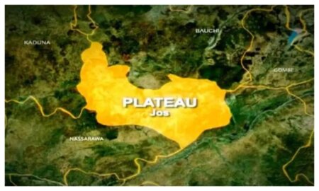 4 headers, 9 cows killed in Plateau violent assault