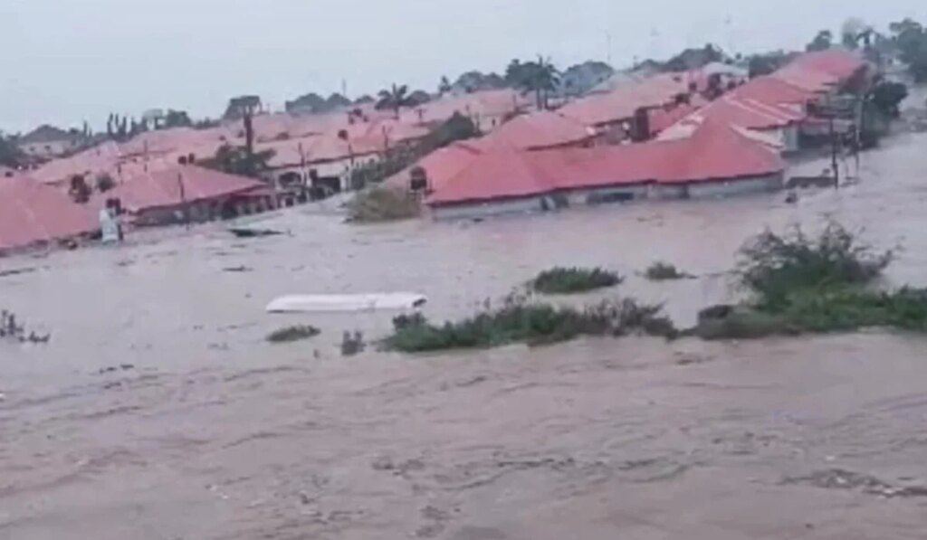 Niger flood catastrophe: 115 our bodies recovered – NSEMA