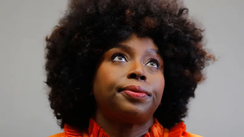 Tragic death of Adichie’s young son pushes Nigeria to act on health sector failings