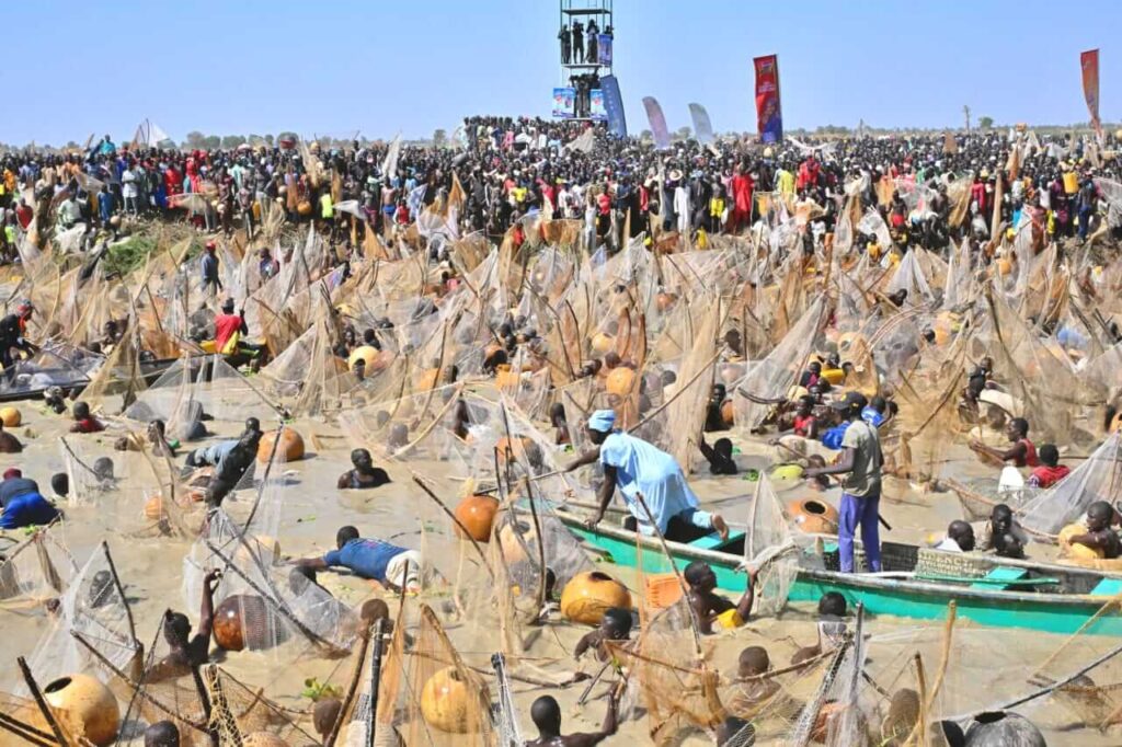 Nigeria’s Argungu fishing festival returns after six-year hiatus