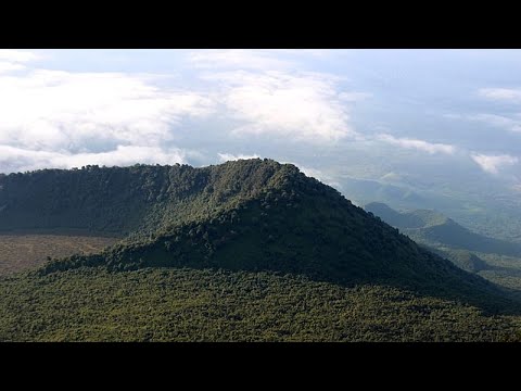 Community forest in Eastern DR Congo tests promise of local control amid conflict