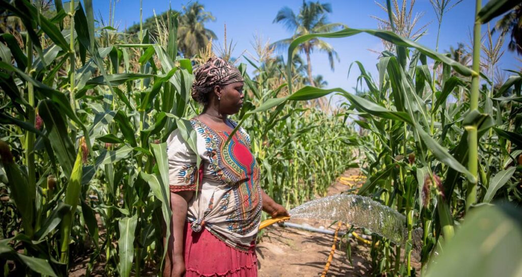 Where Water Flows, Equality Grows: Why Investing In Women Is The Smartest Water Decision Africa Can Make