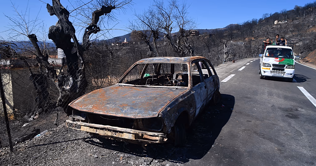 Amnesty calls on Algeria to abandon death penalty plans for wildfires