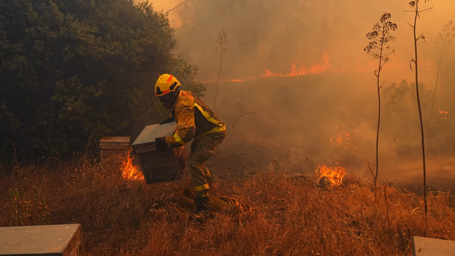 Climate warning: El Niño offers a glimpse of a deadlier, hotter future